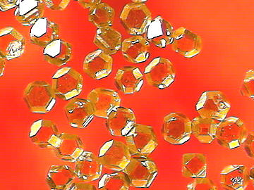 gallery_buildings_four