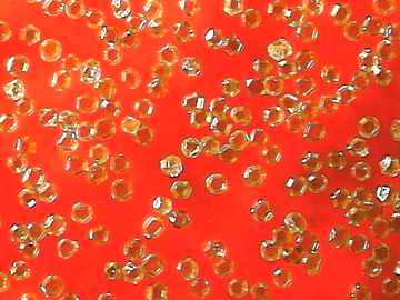 gallery_buildings_eight